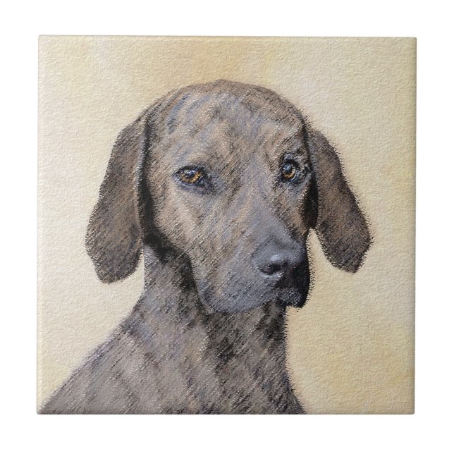 Carreau Plott Peinture - Cute Original Chien Art (Devant)