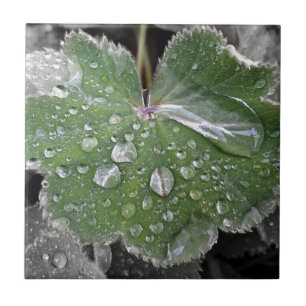 Carreau pluie lourde