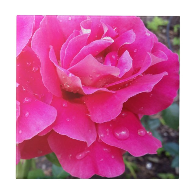 Carreau Pluie sur les pétales (Devant)