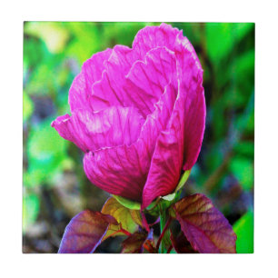 Carreau Plum Crazy Purple Hibiscus Détail sur le feuillage