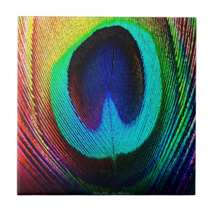 Carreau Plume de paon vibrant