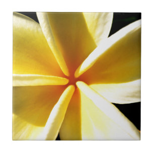 Carreau plumeria
