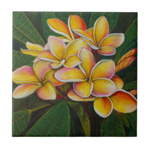 Carreau Plumeria d'arc-en-ciel