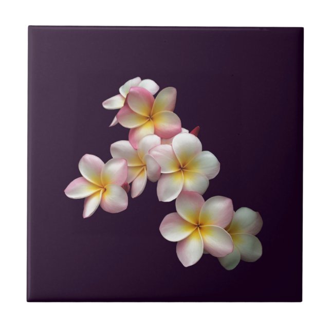 Carreau Plumeria fleurit sur violet foncé (Devant)