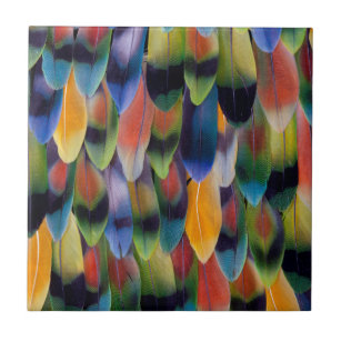Carreau Plumes colorées de perroquet de perruche