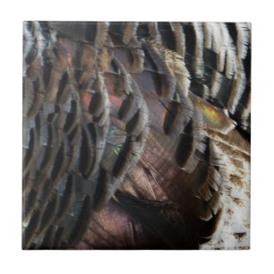 Carreau Plumes de Dindon Sauvage I Design Abstrait de la N