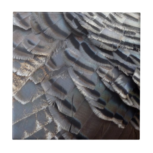 Carreau Plumes de Dindon Sauvage II Design Abstrait de la  (Devant)