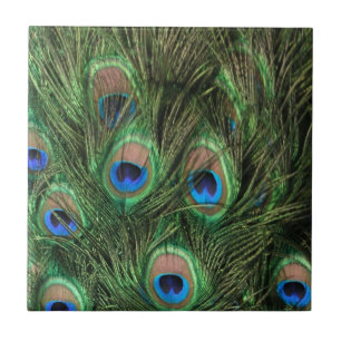 Carreau Plumes de paon