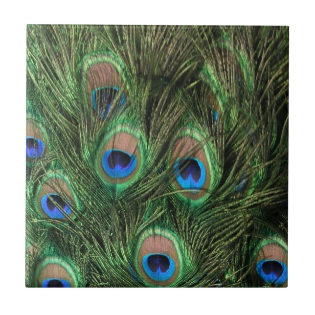 Carreau Plumes de paon (Devant)