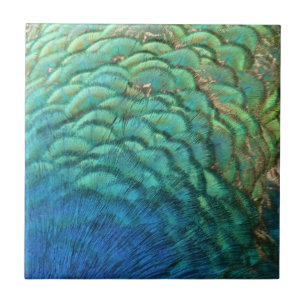 Carreau Plumes de paon I Design de nature abstrait coloré