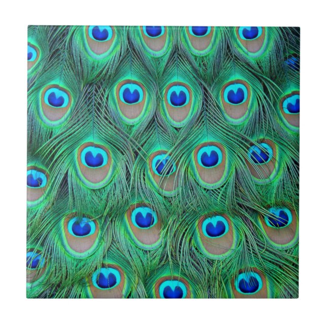 Carreau Plumes de paon vibrantes (Devant)