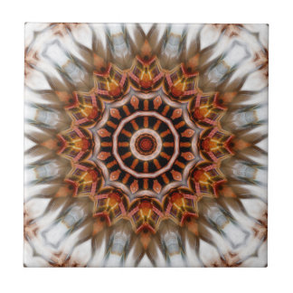 Carreau Plumes d'oiseaux rayonnantes Kaleidoscope Mandala