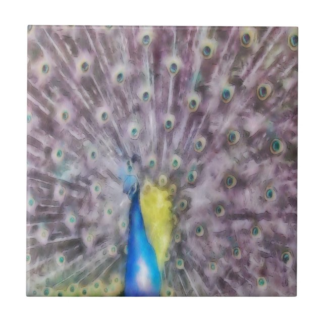 Carreau Plumes fines Peacock Mating Plumage (Devant)