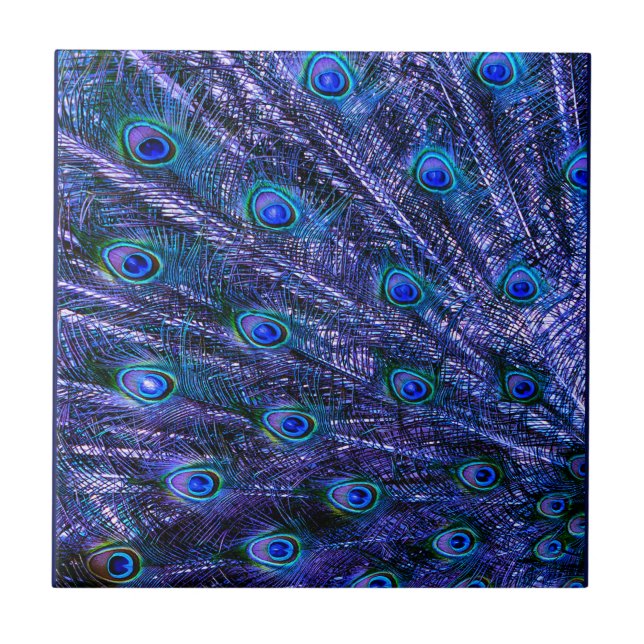 Carreau Plumes violettes Peacock Couverture bébé (Devant)