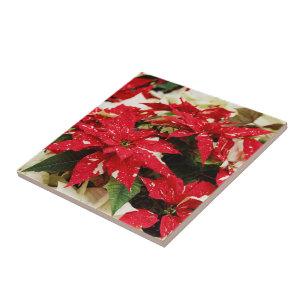 Carreau Poinsettias Festive Rouge Blanc Floral