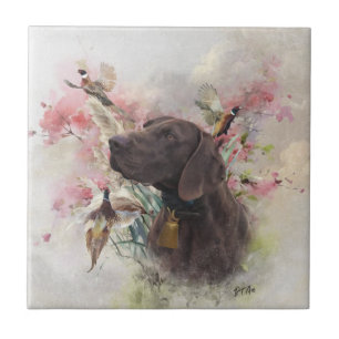 Carreau Pointeur court allemand