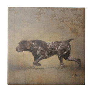 Carreau Pointeur court allemand Poster Tapisserie Acryliqu