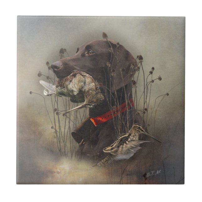 Carreau Pointeurs allemands à poils courts (Devant)