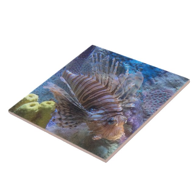 Carreau Poisson (Côté)
