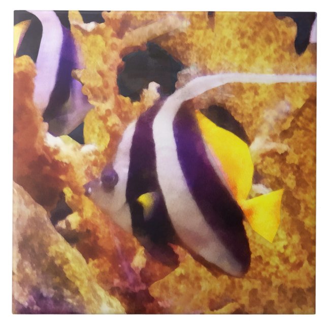 Carreau Poisson-ange rayé noir et blanc (Devant)