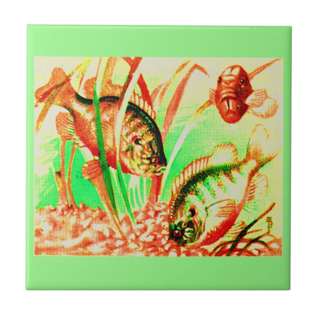 Carreau poisson d'eau douce (Devant)