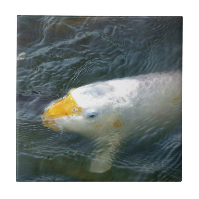 Carreau Poisson D'Or Dans Le Lac (Devant)