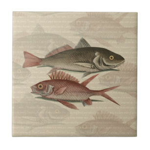 Carreau Poisson Perche Rouge Pêcheur d'Art