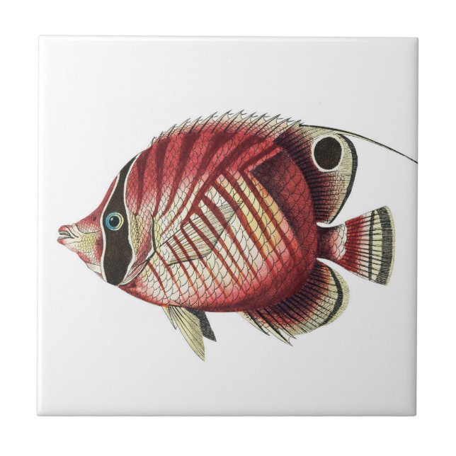 Carreau Poisson vintage d'anges tropicaux (Devant)