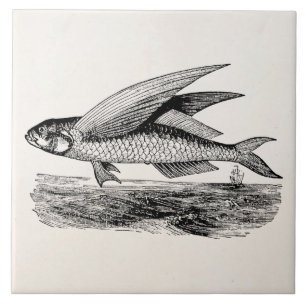 Carreau Poissons de vol vintages - modèle aquatique de