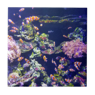 Carreau Poissons oranges sous-marins de clown autour de
