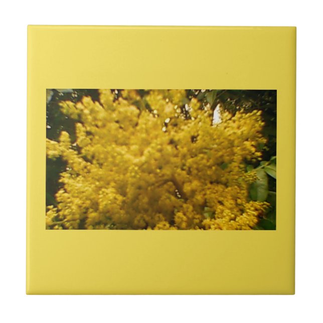 Carreau Pollen en floraison (Devant)