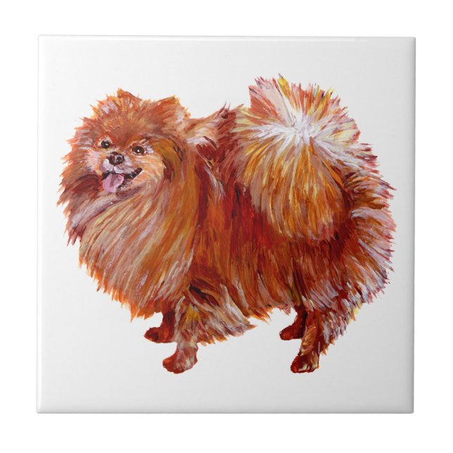 Carreau Pomeranian rouge (Devant)