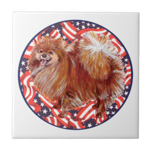 Carreau Pomeranian Rouge Blanc & Bleu