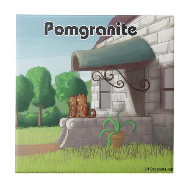 Carreau Pomeranian sur Granite (Pomegranite) Drôle (Devant)