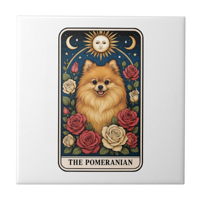 Carreau Poméranien (Devant)