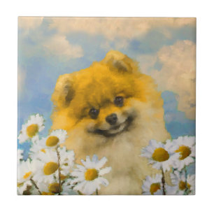 Carreau Poméranien dans Daisies Peinture - Art Chien origi