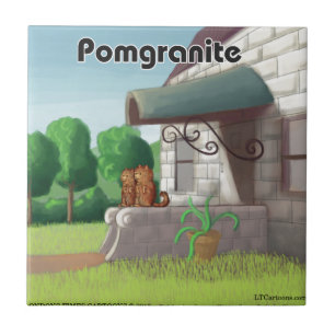 Carreau Poméranien sur granite (grenade) drôle