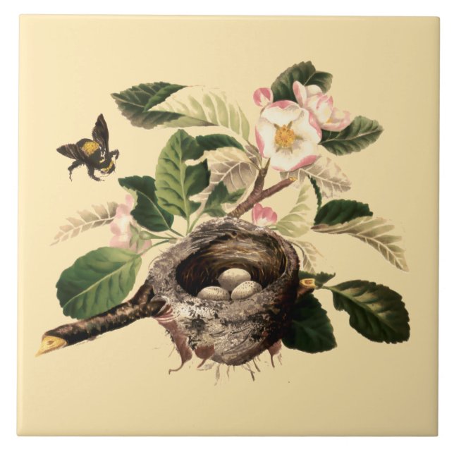 Carreau Pommes en fleurs et nid d'oiseaux (Devant)