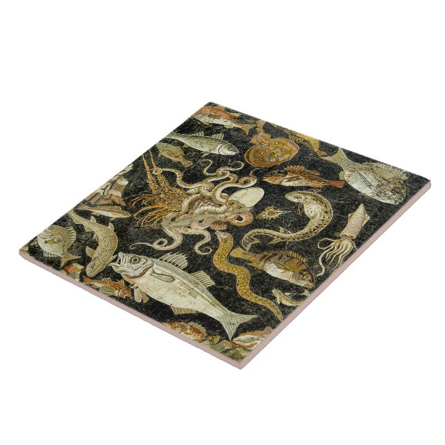 Carreau Pompéi Romain Marine Créations Carrelage Céramique (Côté)