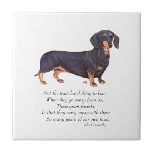 Carreau Pont arc-en-ciel des Dachshund