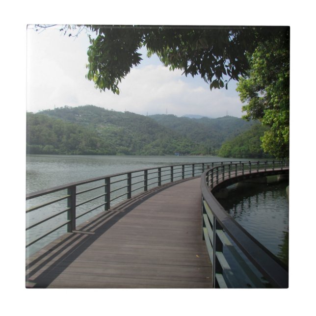 Carreau Pont cyclable sur l'eau (Devant)