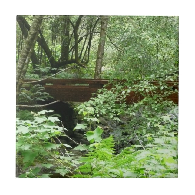 Carreau Pont de Muir Woods I (Devant)