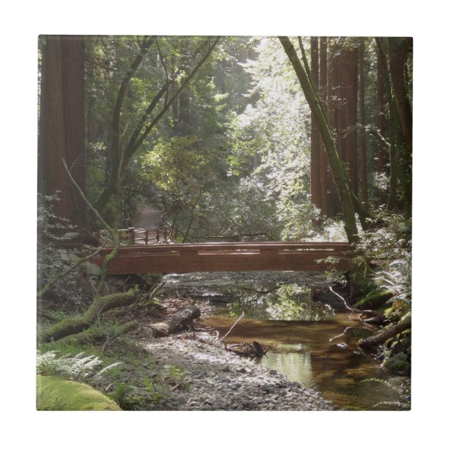 Carreau Pont de Muir Woods II (Devant)