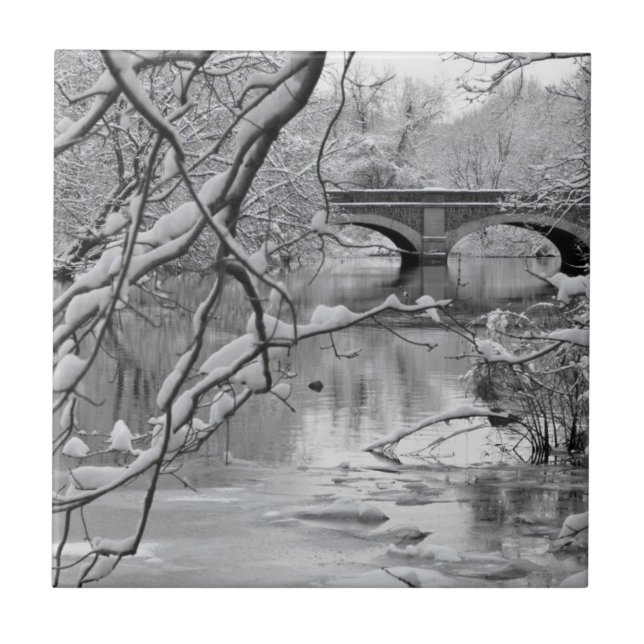 Carreau Pont de voûte au-dessus de rivière congelée en (Devant)