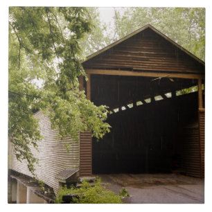 Carreau Pont historique