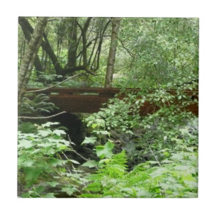 Carreau Pont Muir Woods I