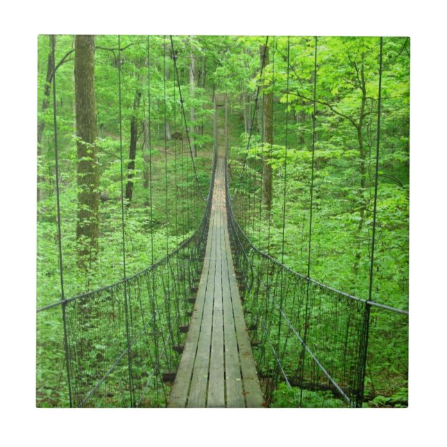 Carreau Pont suspendu (Devant)