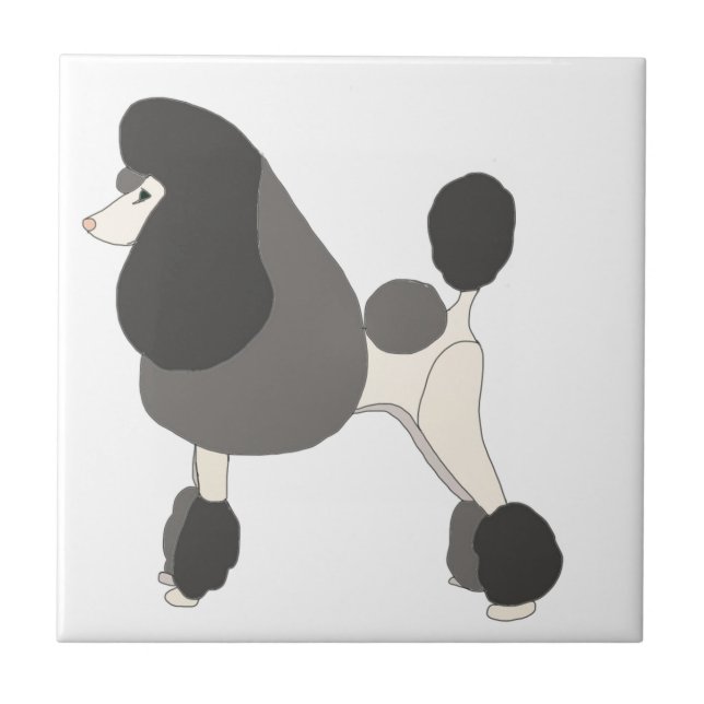 Carreau Poodle de concours (Devant)