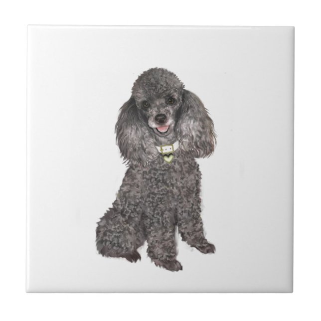 Carreau Poodle - Jouet /Miniature Argent (Devant)