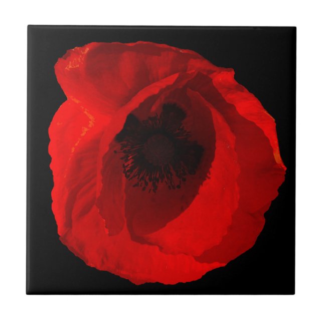 Carreau Poppy (Devant)